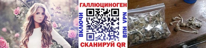 Галлюциногенные грибы Magic Shrooms  Кяхта 
